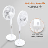 Comfort Zone 18" 3-Speed Adjustable Oscillating Pedestal Fan with Tri-Curve Grille in White