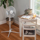 Comfort Zone 16" 3-Speed Adjustable Oscillating Pedestal Fan in White & Black