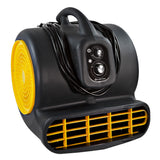 Comfort Zone Powergear 1/2 HP 3-Speed Carpet Dryer Blower Floor Fan with Timer in Black and Yellow